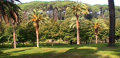 Villa Ada. �� ����� ���� ����� ����� ��������� �����-������ "����������"
