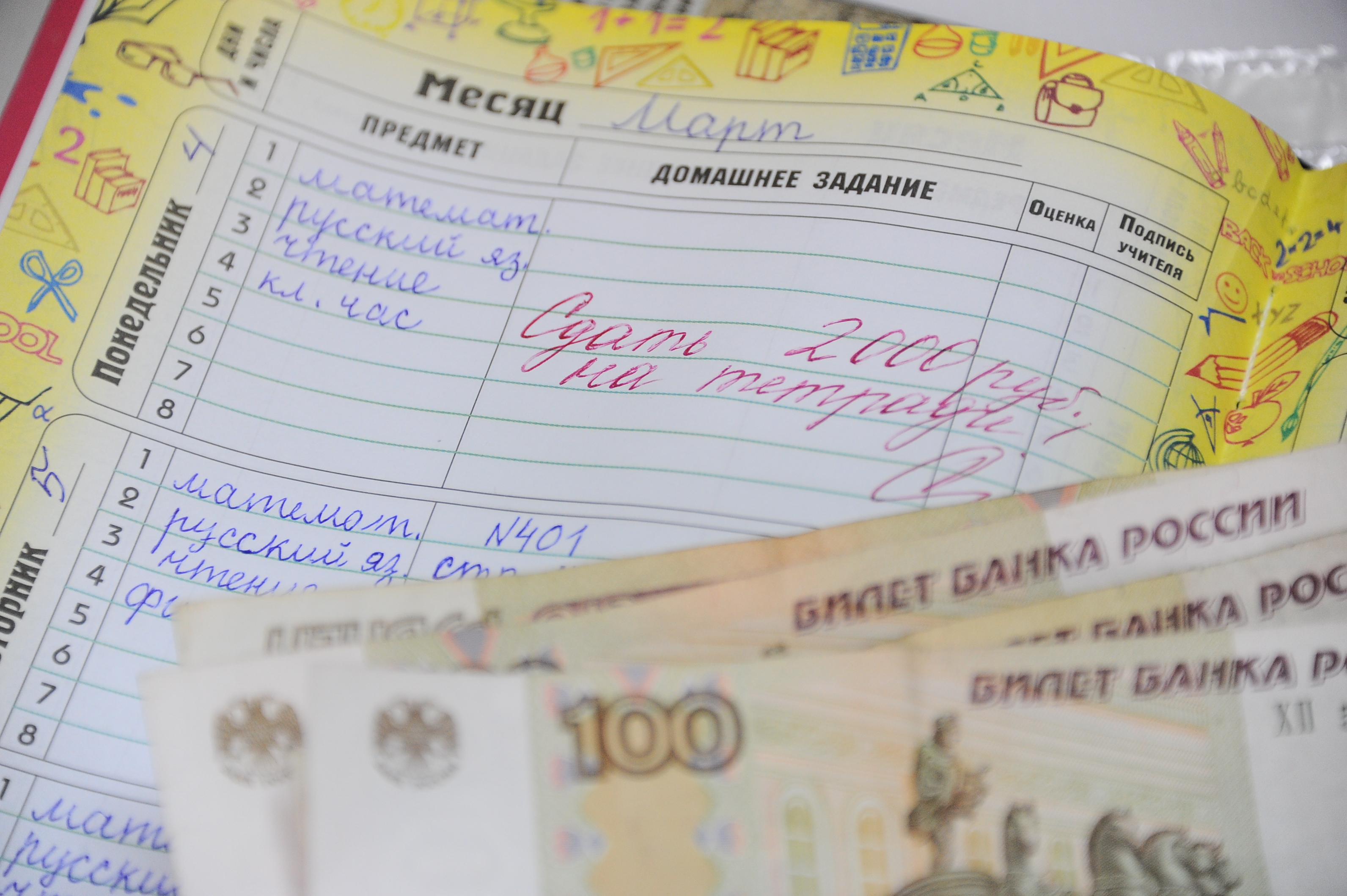 Мать-одиночку из Амурского посёлка хотят уволить за жалобу на поборы в школе